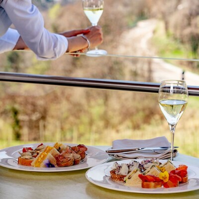 Caperitivo in camera con vista panorama trentino