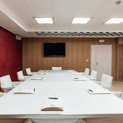 Organizza riunioni di lavoro a trento ludovido madruzzo 1