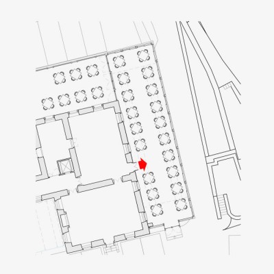 Piantina cardinale 2